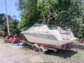 bot-speed-boat-small-0